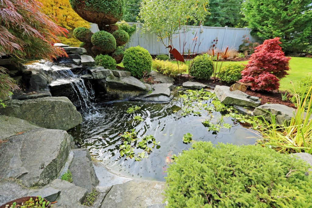 An image of Pond & Water Features that is clean because of Pond Maintenance.